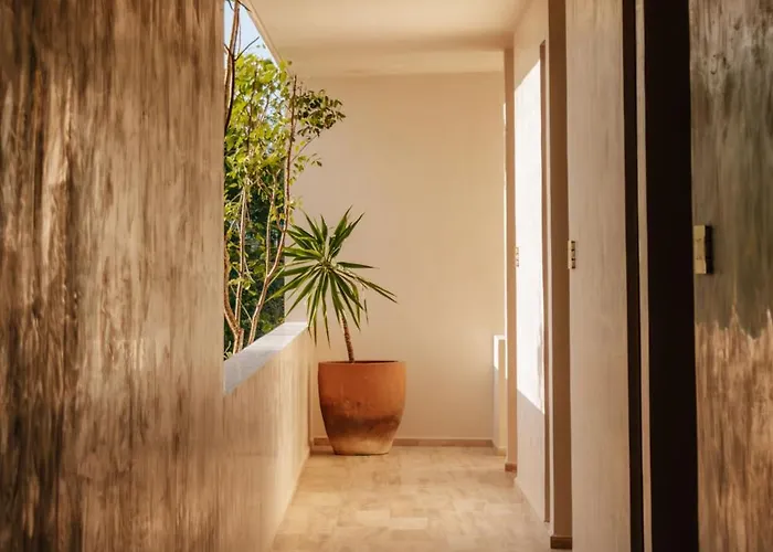 Bacab Apartment *
